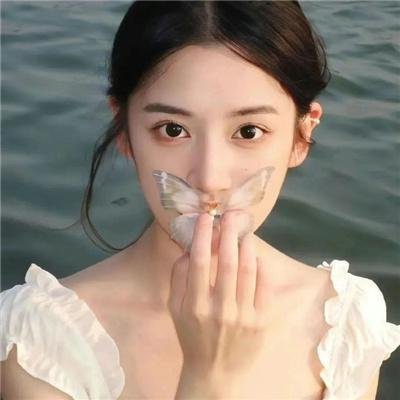 惹不起的宫主大人