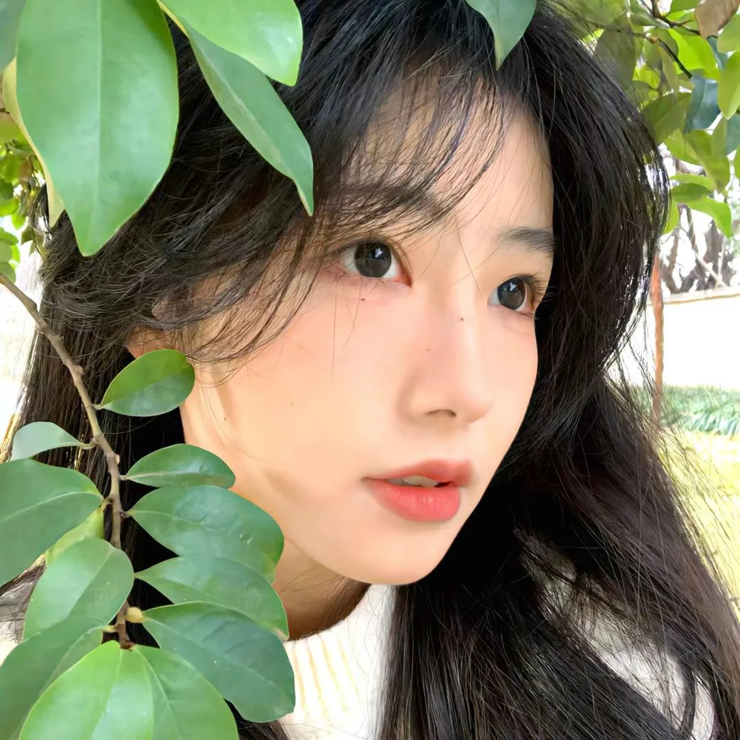 血染的摇篮